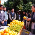 Uttarakhand Malta Festival