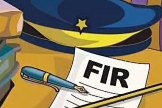 fir