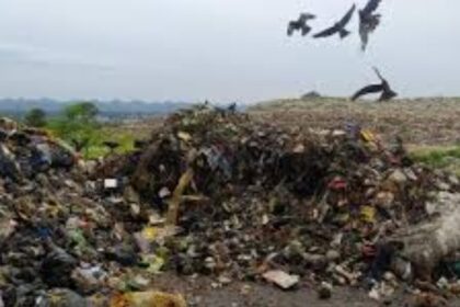 सॉलिड वेस्ट मैनेजमेंट प्लांट