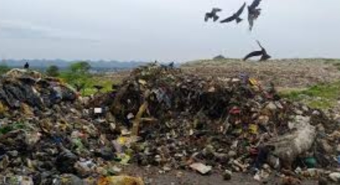 सॉलिड वेस्ट मैनेजमेंट प्लांट